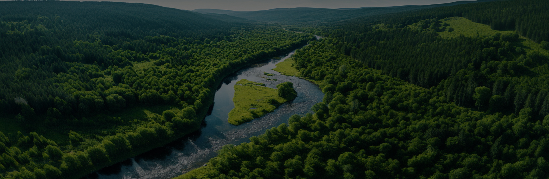 Jiaxing Dingshi Machinery Vestibulum Co., Ltd.