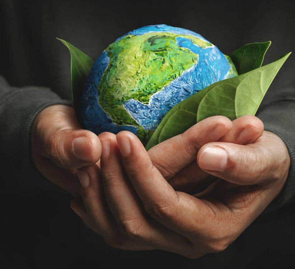 Jiaxing Dingshi Machinery Vestibulum Co., Ltd.